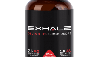 Exploring Delta 9 Gummies: Top 5 Things to Know Before You Try Them